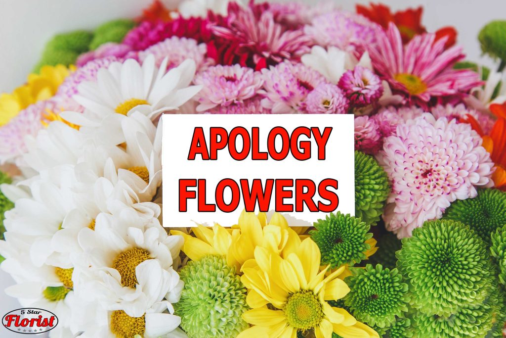 apology flowers Peoria